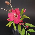 19.10.2025 blumenkurs mit dagmar pinter