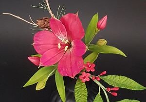 19.10.2025 blumenkurs mit dagmar pinter