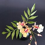 31.5.2026 blumenkurs mit dagmar pinter