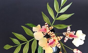 31.5.2026 blumenkurs mit dagmar pinter