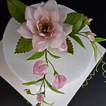 01.02.2026 blumenkurs mit dagmar pinter