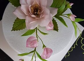 01.02.2026 blumenkurs mit dagmar pinter